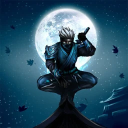 Icono de Ninja War: Shadow Adventures